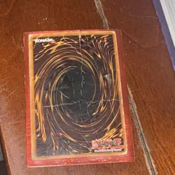 Dark Paladin DMG-001 Limited Edition Holo Secret Rare - Image 2