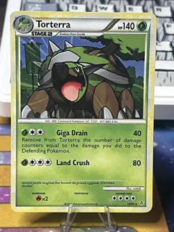 Pokemon TCG Mid Era Unleashed Promos, #10/95 Torterra, Cracked Ice Holo Rare LP - Image 1