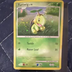 Pokemon Turtwig DP01 Diamond & Pearl Promo Holo Basic 60 HP Trading Card - Image 1
