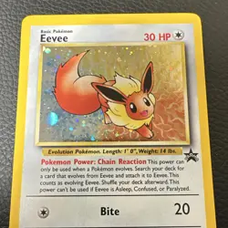 Pokemon Eevee Black Star Promo Holo Card 11 - Image 3