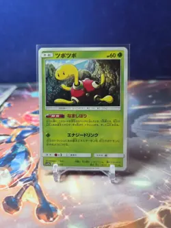 Shuckle SM12a 007/173 Tag Team All Stars Japanese Pokemon TCG - Image 1