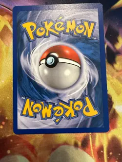 Pokemon TCG Oshawott Black & White BW03 Holo Promo Promo NM - Image 2