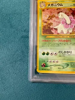 PSA10 Pokemon Card Meganium-Holo Old Back 2000 Premium File Japanese NEO - Image 5
