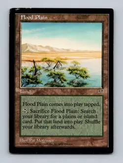 Flood Plain Mirage Non-Foil MTG HP - Image 1