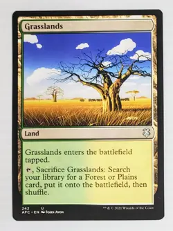 X 1 MTG Magic the Gathering Grasslands (214/265) Dominaria United Commander LP - Image 1