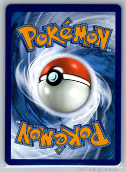 Passimian - TG08/TG30 - Pokemon Silver Tempest Trainer Gallery Holo Card NM - Image 2