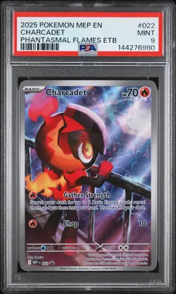 2025 Pokemon MEP Black Star Promo 22 Charcadet PSA 9 - Image 1
