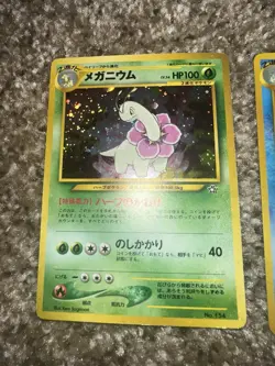 Pokemon Jap Neo Premium File Holo Lot , Feraligatr, & Meganium MP - Image 2