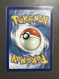 Pokemon Card Poochyena GG33/GG70 Galarian Gallery Crown Zenith Near Mint - Image 2