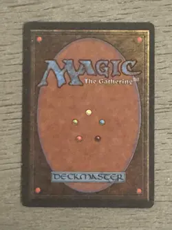 Taiga Revised Edition Regular - Image 4