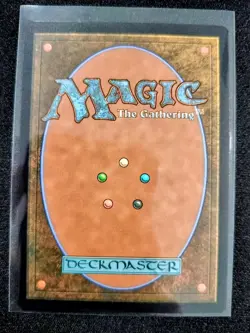 MTG Hallowed Fountain 0265 Lorwyn Eclipsed NM - Image 2