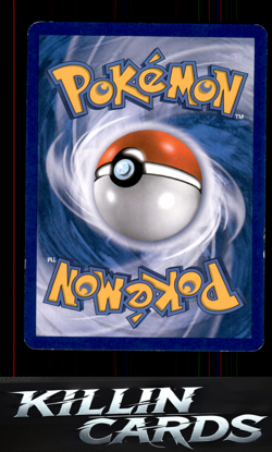 Numel 21/149 Pokemon Common Boundaries Crossed Card LP - Image 2