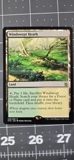 Windswept Heath Khans of Tarkir 248/269 - Image 1