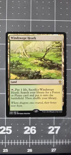 Windswept Heath Khans of Tarkir 248/269 - Image 3