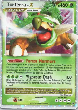 2007 Diamond & Pearl, Promos - Diamond & Pearl Promos Torterra LV.X - Image 1