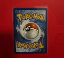 Pokemon TCG Phanpy Card Surging Sparks 205/191 - Image 2