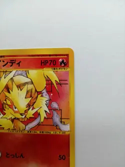 Arcanine Pokemon Card Web Series 023/048 Vintage Very Rare Japan F/S Nintendo - Image 4