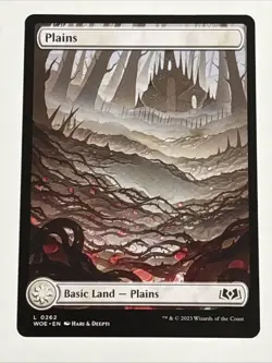 MTG Wilds of Eldraine Plains 0262 NM - Image 1