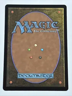MTG Wilds of Eldraine Plains 0262 NM - Image 2