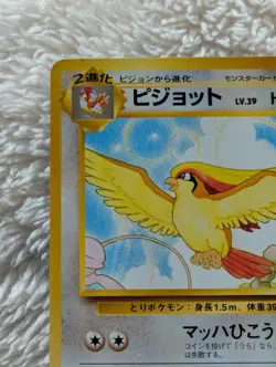 Pidgeot Japanese Southern Island Pokemon card old back US seller - Image 2