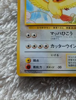 Pidgeot Japanese Southern Island Pokemon card old back US seller - Image 3