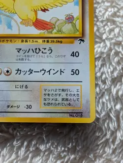Pidgeot Japanese Southern Island Pokemon card old back US seller - Image 4