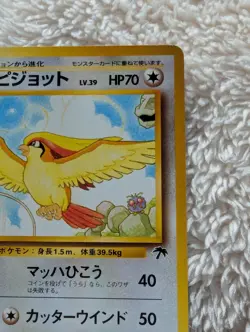 Pidgeot Japanese Southern Island Pokemon card old back US seller - Image 5