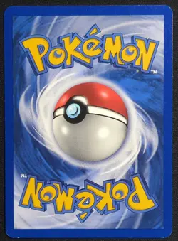 Teddiursa 65/75 1st Edition Neo Discovery Pokemon Card - Image 2