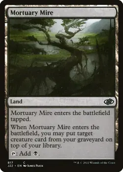 [MTG] Mortuary Mire (817) (J22) NM - Image 1