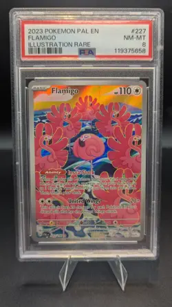 Flamigo Pokemon English 2023 SV02 Paldea Evolved Illustratin Rare #227 PSA 8 🔥 - Image 1