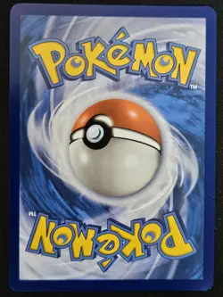 Crocalor SVP080 Black Star Promos Shiny Holo Pokemon Trading Card Game 2024 NM - Image 2