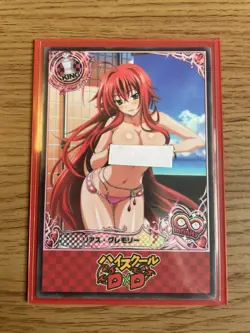 High School dxd ACG Rias Gremory Sexy Bikini Special Waifu Doujin NM Card - Image 1