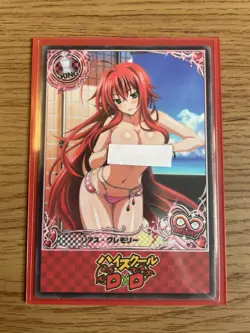High School dxd ACG Rias Gremory Sexy Bikini Special Waifu Doujin NM Card - Image 5
