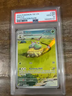 POKEMON 2024 Temporal Forces Illustration Rare GROTLE #164 PSA 10 Gem Mint RARE - Image 1