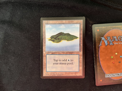 Magic the Gathering All Five Basic Lands BETA Never Played - Image 2