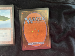 Magic the Gathering All Five Basic Lands BETA Never Played - Image 3