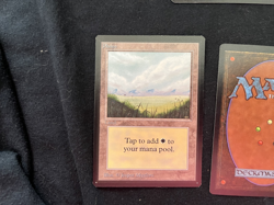 Magic the Gathering All Five Basic Lands BETA Never Played - Image 4
