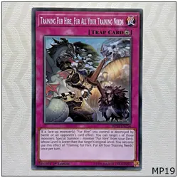 Training Fur Hire, Fur All Your Training Needs - MP19-EN256 - Common 1st Yugioh - Image 1
