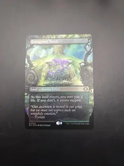 Overgrown Tomb (Borderless) Lorwyn Eclipsed MTG Foil Near Mint - Image 1