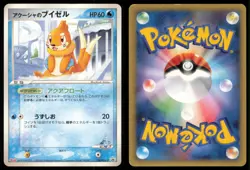 SAMIYA'S BUIZEL 138/PCG-P MEIJI POKEMON JAPANESE PROMO MP - Image 1