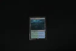 Hedge Maze MKM #262 Rare Land Regular NM+ - Image 1