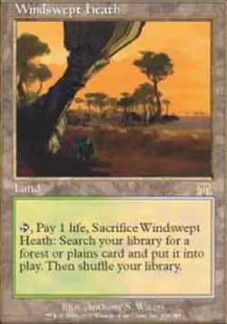 Heavy Played, English - 1 x MTG Windswept Heath Onslaught - Image 1