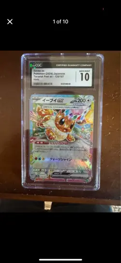 Pokemon Mystery Box! Vintage To Modern Slabs Singles, sealed, merch, apparel! - Image 4