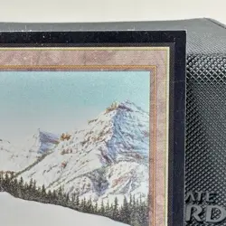 1993 TAIGA Magic the Gathering Collector's Edition CE MTG Sharp Corners - Image 3