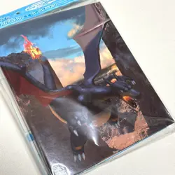 Pokemon TCG Official Card Game Collection File Shiny Charizard Japan NEW RAREOP① - Image 1