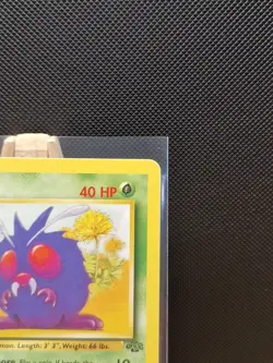 Pokemon TCG 1999 WOTC Jungle 1st Edition Venonat 63/64 - Near Mint - Image 4