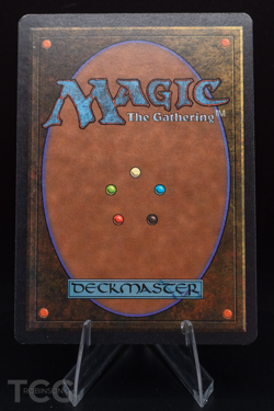 Island (B) - 1993 Magic the Gathering - Limited Edition Beta Regular - Image 2