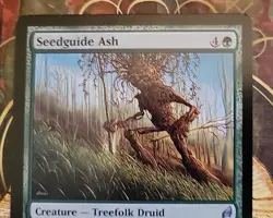 MTG Seedguide Ash x1 NM ~Lorwyn (Magic the Gathering)*Free Shipping* - Image 3