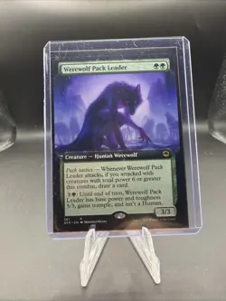 Werewolf Pack Leader (Extended Art) Adventures in the Forgotten Realms Regular - Image 1