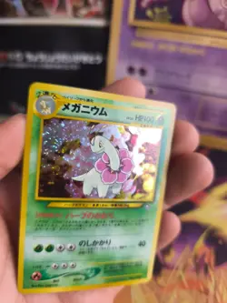 Pokemon Karte Card Meganium Neo File Binder Promo Genesis Holo Wotc japanese NM - Image 4
